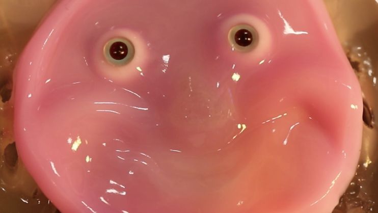 Creepy Robot Smiles with Human Cells