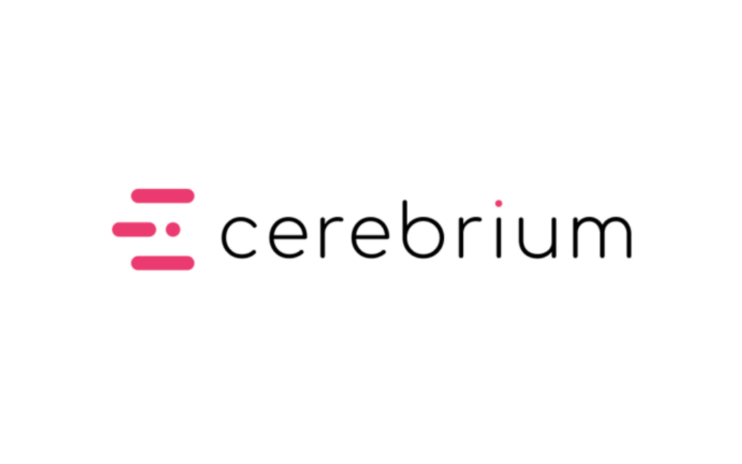 Cerebrium.ai: Serverless AI Infrastructure for Scalable Model Deployment