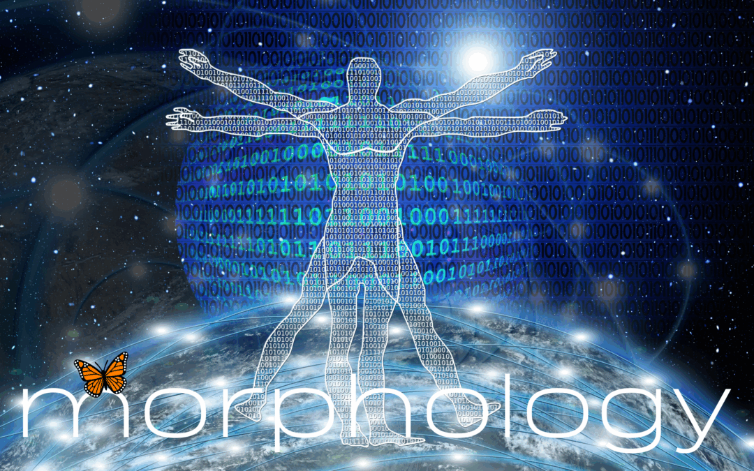 🧬 morphology.ai – Shape Intelligence. Evolve Results.