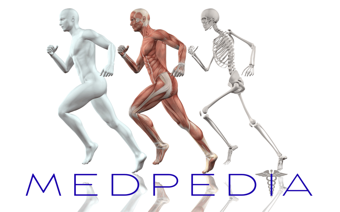🩻 Medpedia.Ai: Intelligent Medical Learning Engine